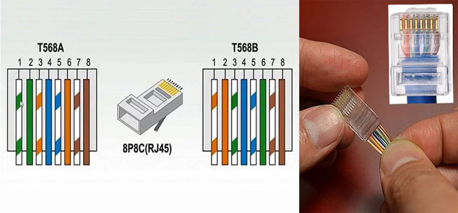 سوکت rj45 فروشگاه رستاک پی سی سوکت rj45